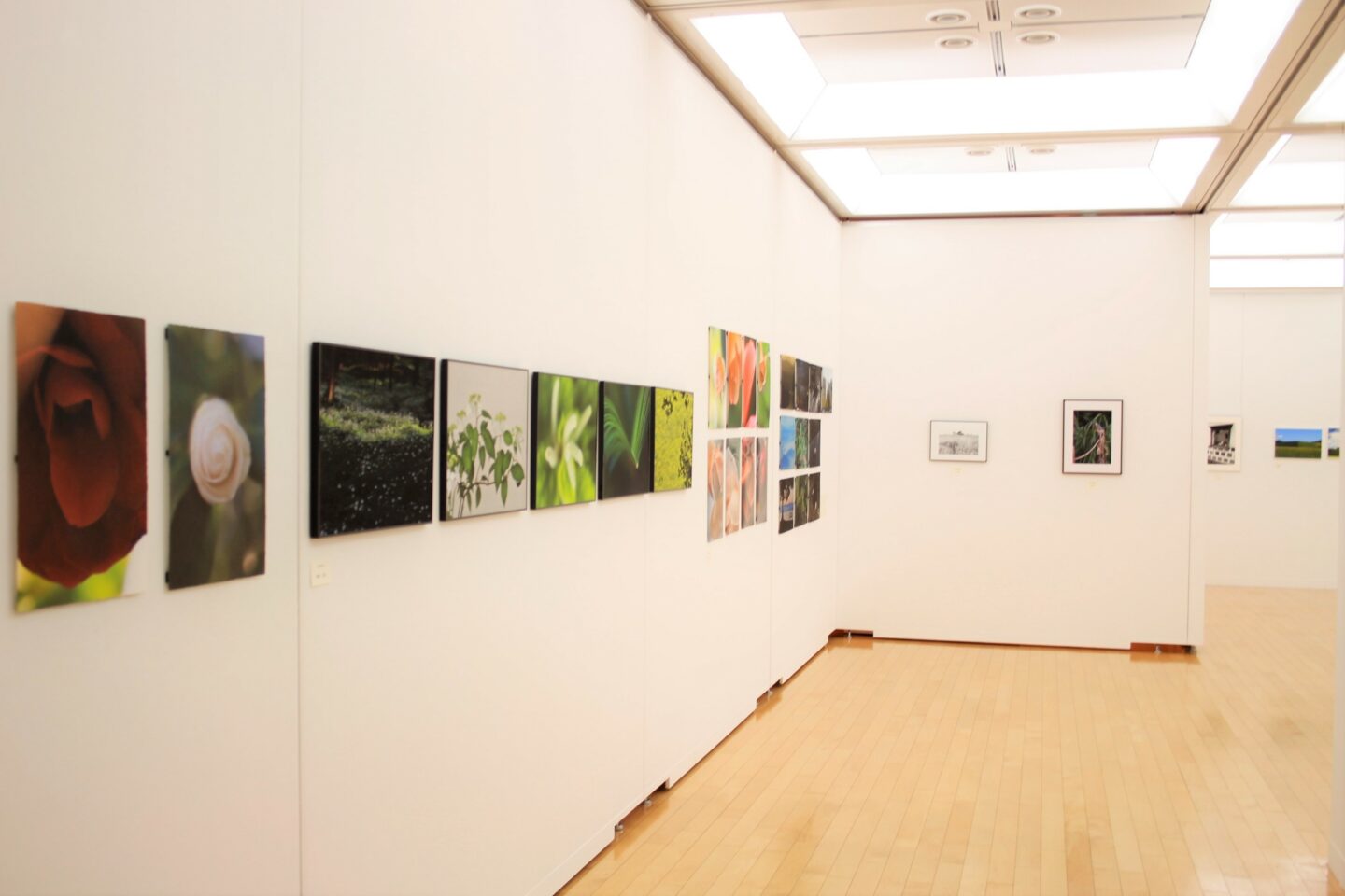 TONPEI Photo 展