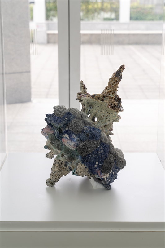 ショーケースギャラリー　木ノ戸久仁子展　展示風景　photo：KATO ken