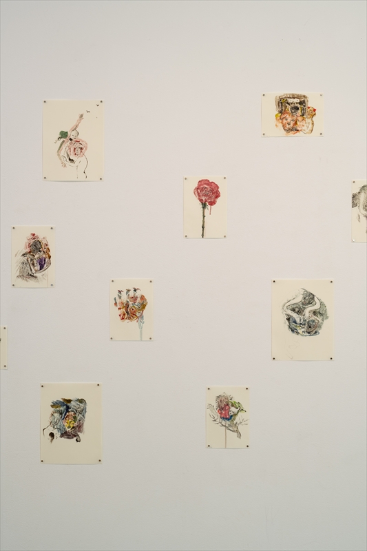 あざみ野コンテンポラリーvol.16　庄司朝美 トビリシより愛を込めて　会場風景　photo: Kato Ken