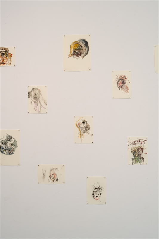 あざみ野コンテンポラリーvol.16　庄司朝美 トビリシより愛を込めて　会場風景　photo: Kato Ken