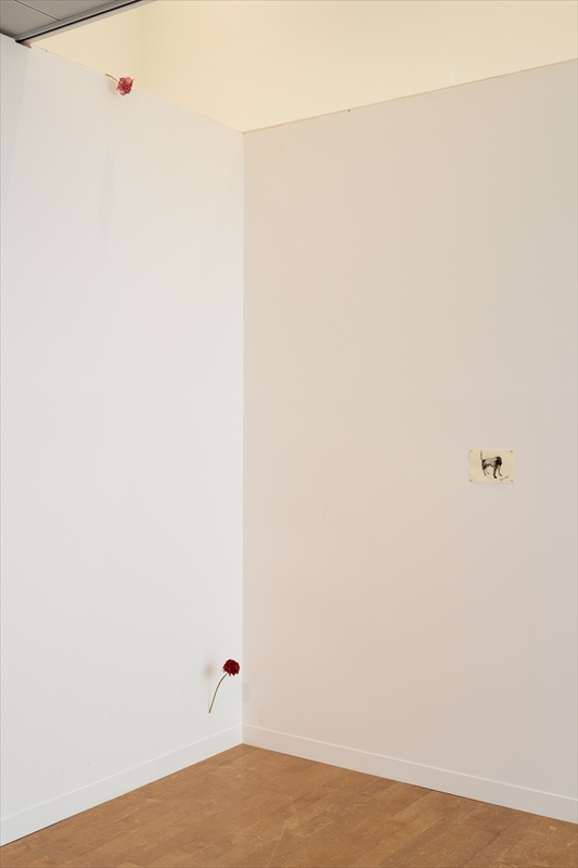 あざみ野コンテンポラリーvol.16　庄司朝美 トビリシより愛を込めて　会場風景　photo: Kato Ken