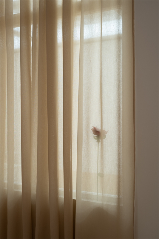 あざみ野コンテンポラリーvol.16　庄司朝美 トビリシより愛を込めて　会場風景　photo: Kato Ken