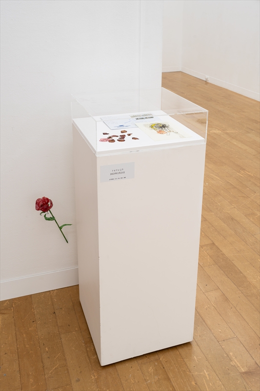 あざみ野コンテンポラリーvol.16　庄司朝美 トビリシより愛を込めて　会場風景　photo: Kato Ken