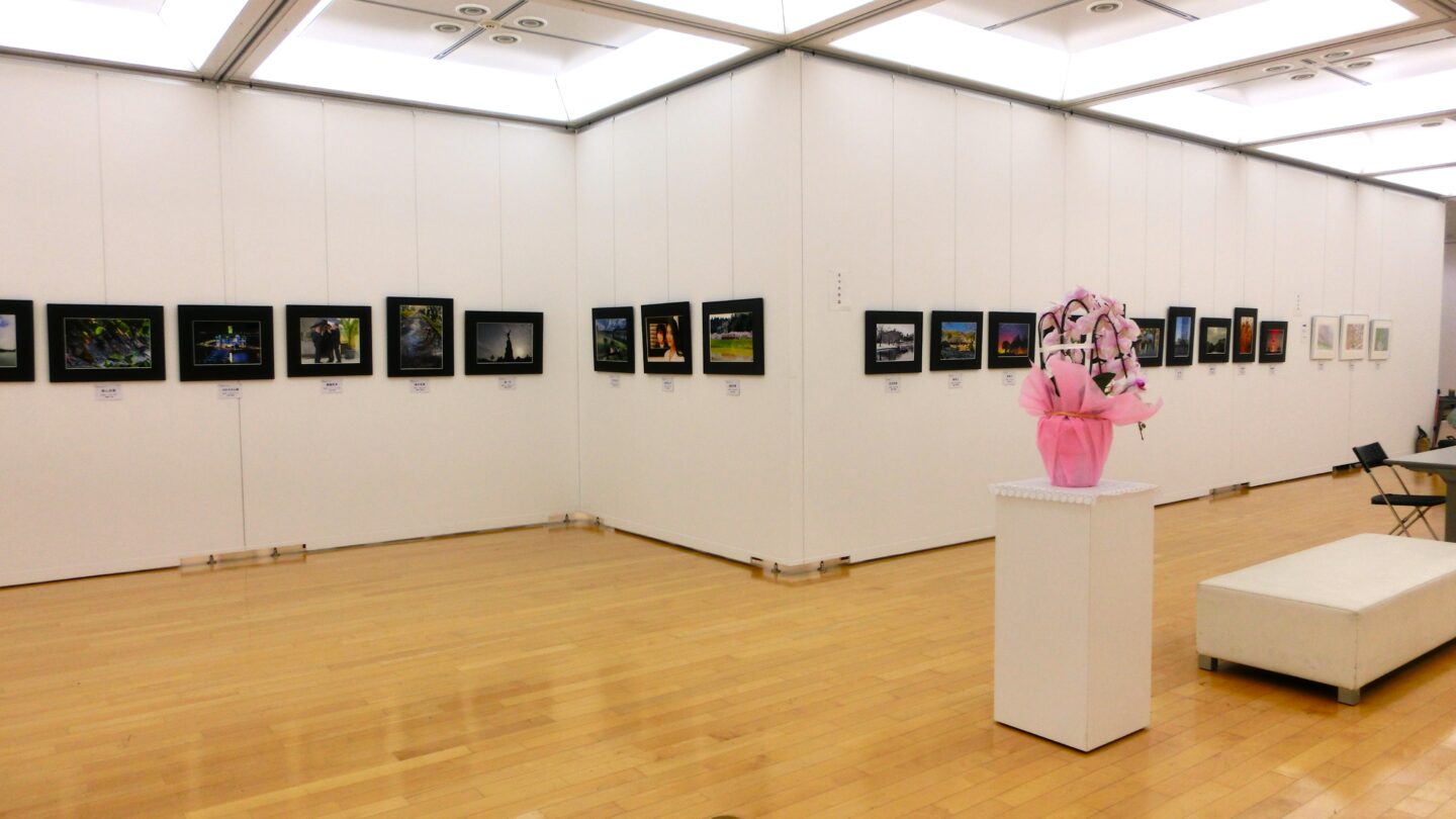 専用ページ　写真2-4枚目 アートユニオン青葉合同写真展 – 横浜市民ギャラリーあざみ野（アート