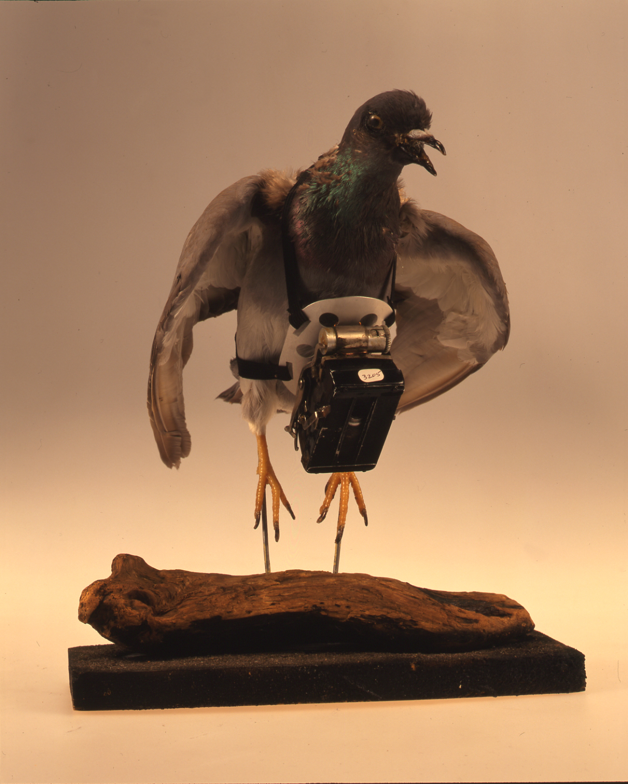 ドッペル・シュポルト