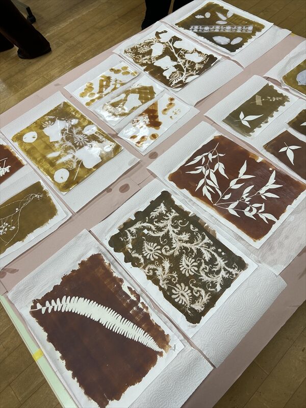 photo2026-collection