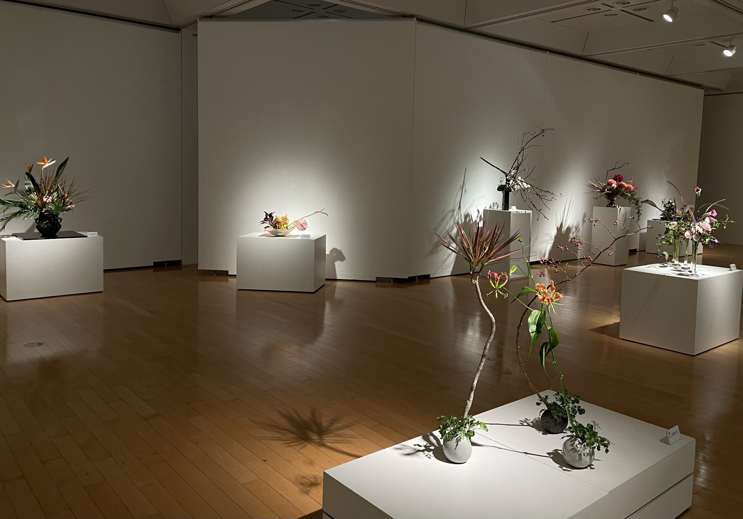 院展院友　浅田廷史　作品「花」 いけばな小原流 みんなの花展「光と風のあるところ」 – 横浜市民